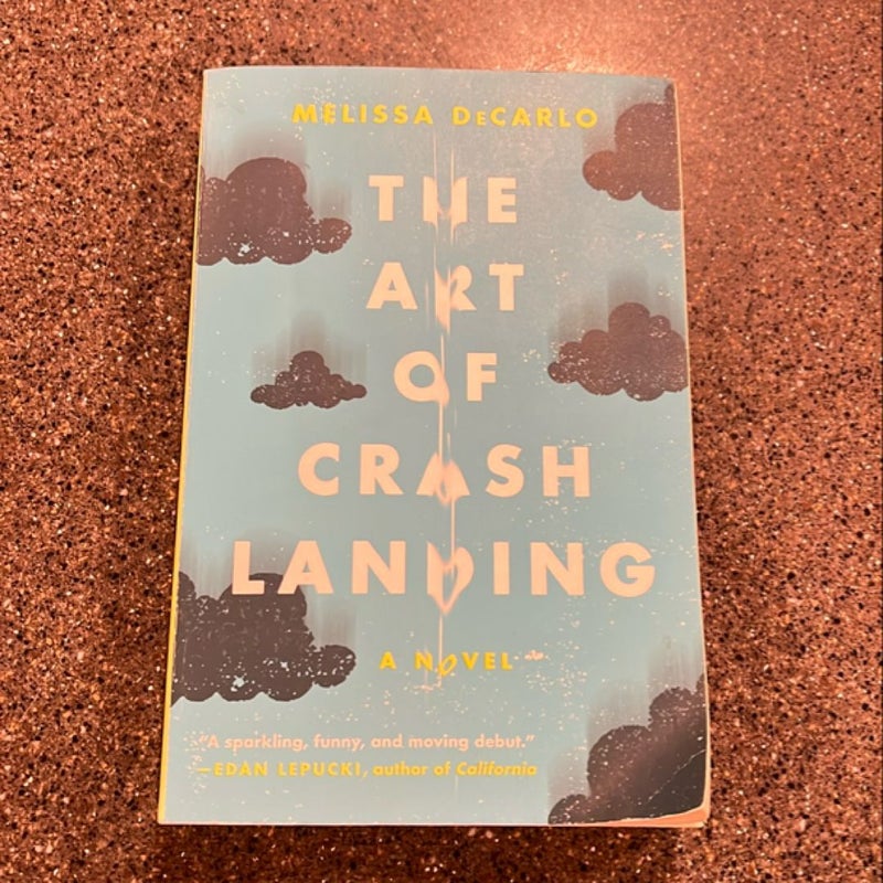 The Art of Crash Landing