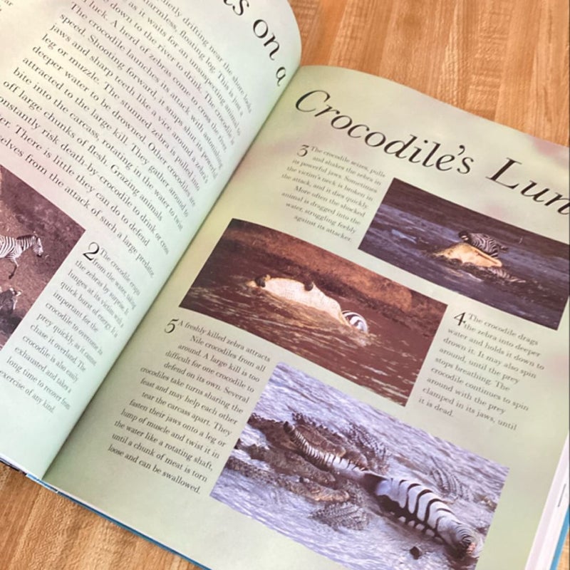 SNAKES, CROCODILES and LIZARDS　洋書　写真集 Snakes and Reptiles, Ultimate Book of: Discover the amazing