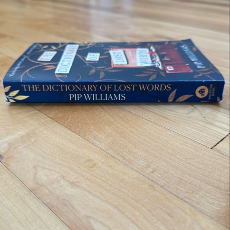 The Dictionary of Lost Words