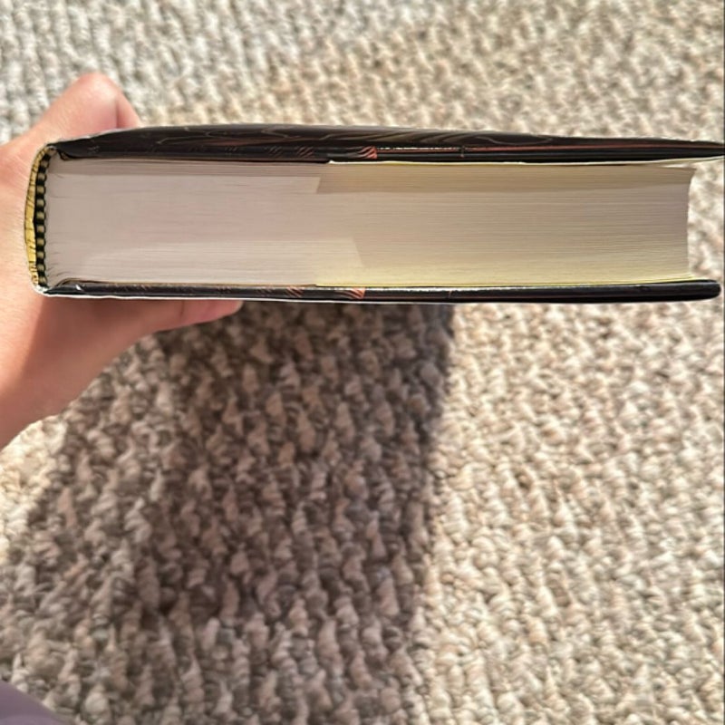 Confessions of an Ugly Stepsister