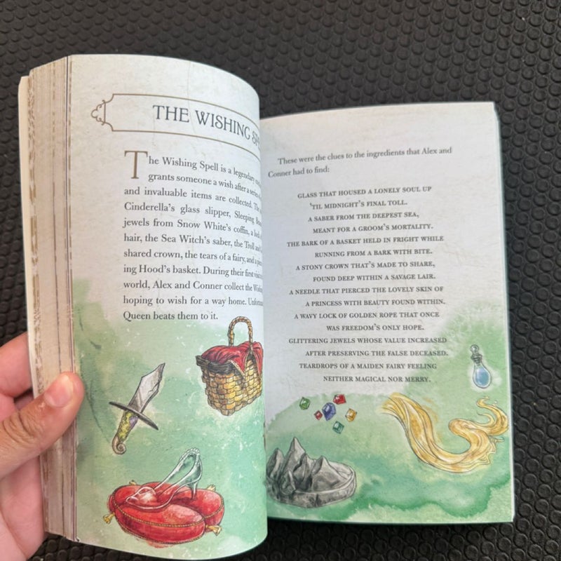 The Land of Stories: the Ultimate Book Hugger's Guide