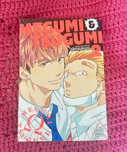Megumi and Tsugumi, Vol. 2