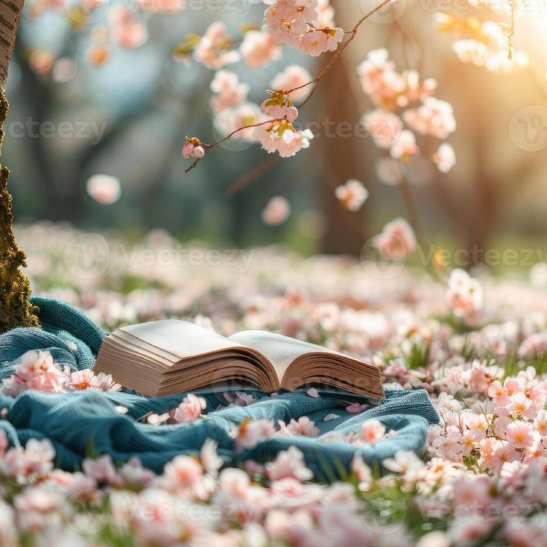 Carly’s Bookish Corner