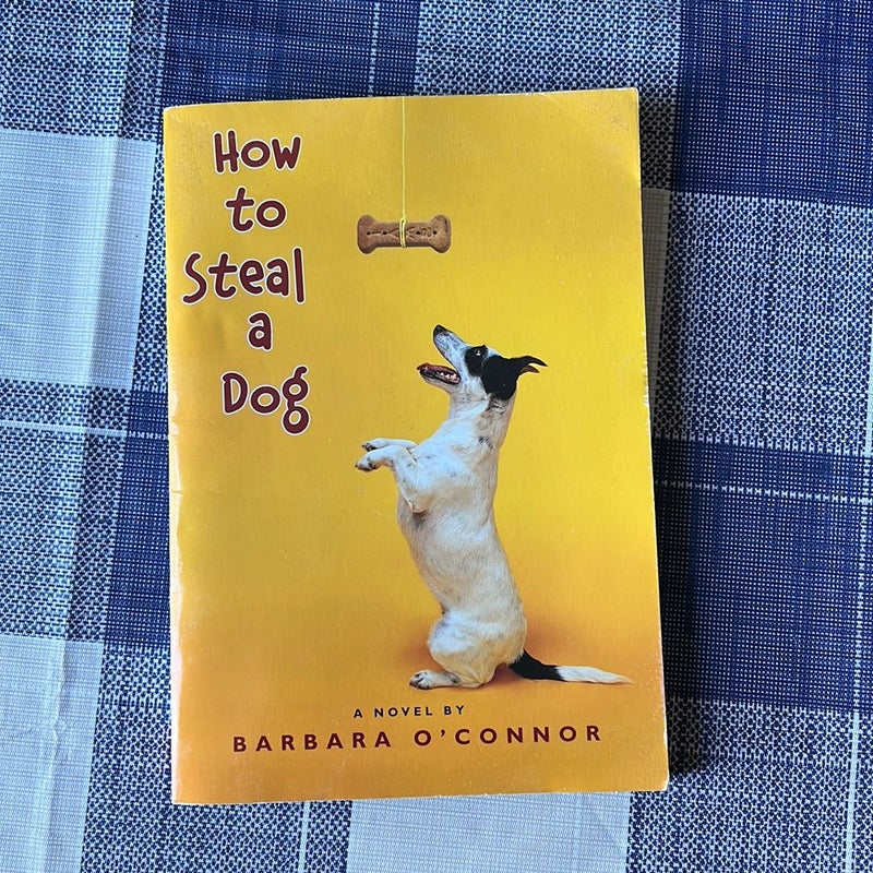 How To Steal a Dog