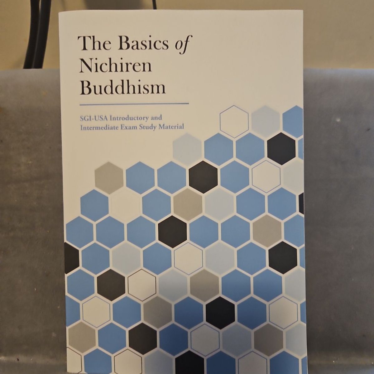 The Basics of Nichiren Buddhism by Daisaku Ikeda