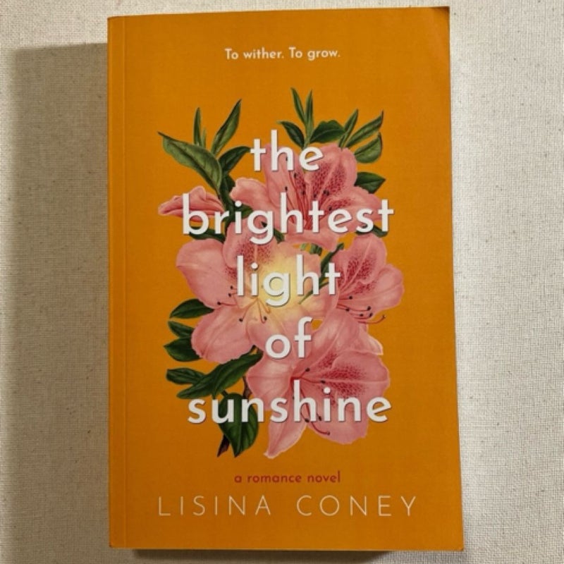 Brightest Light of Sunshine INDIE Cover 