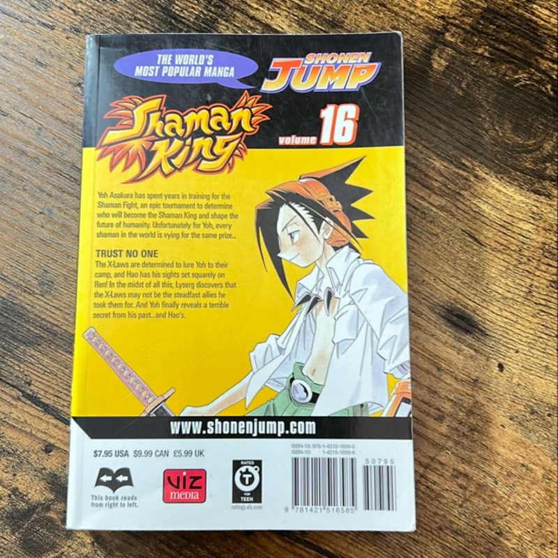 Shaman King, Vol. 16