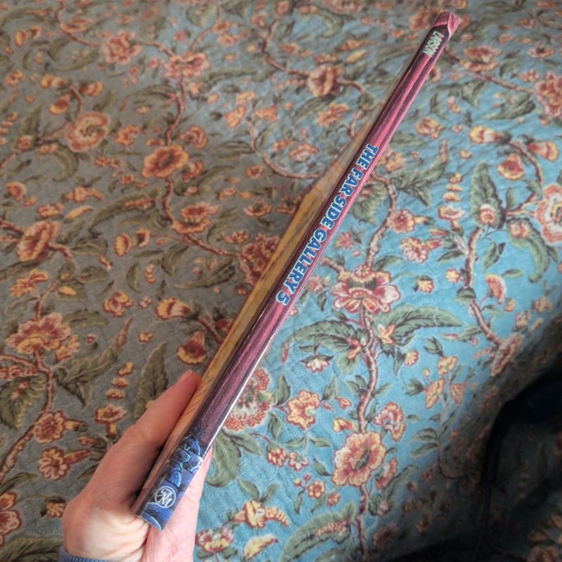 The Far Side Gallery 5