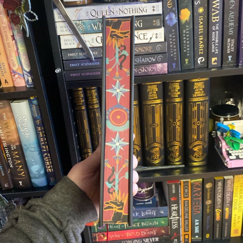 Where the Library Hides OWLCRATE EDITION