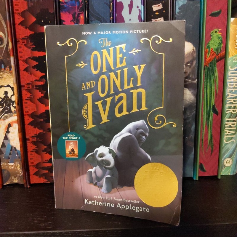 The One and Only Ivan by Katherine Applegate (Paperback