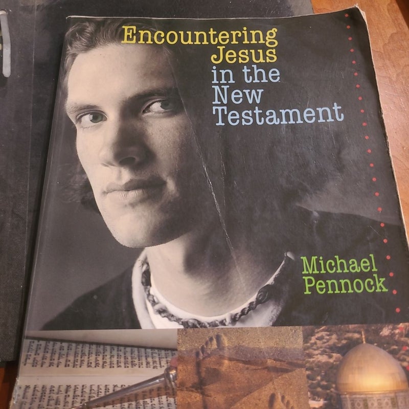 Encountering Jesus in the New Testament