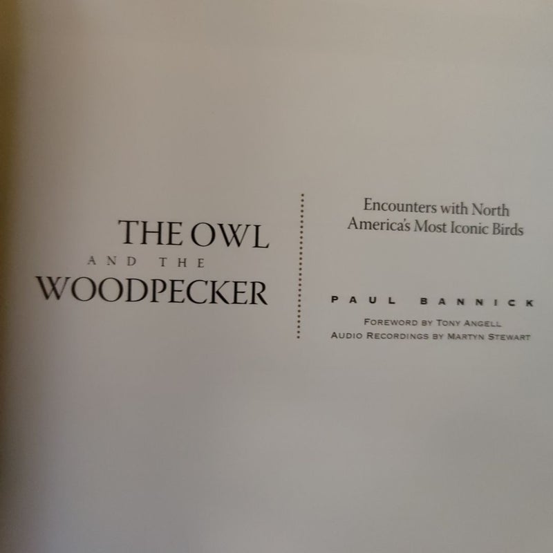 The Owl and the Woodpecker