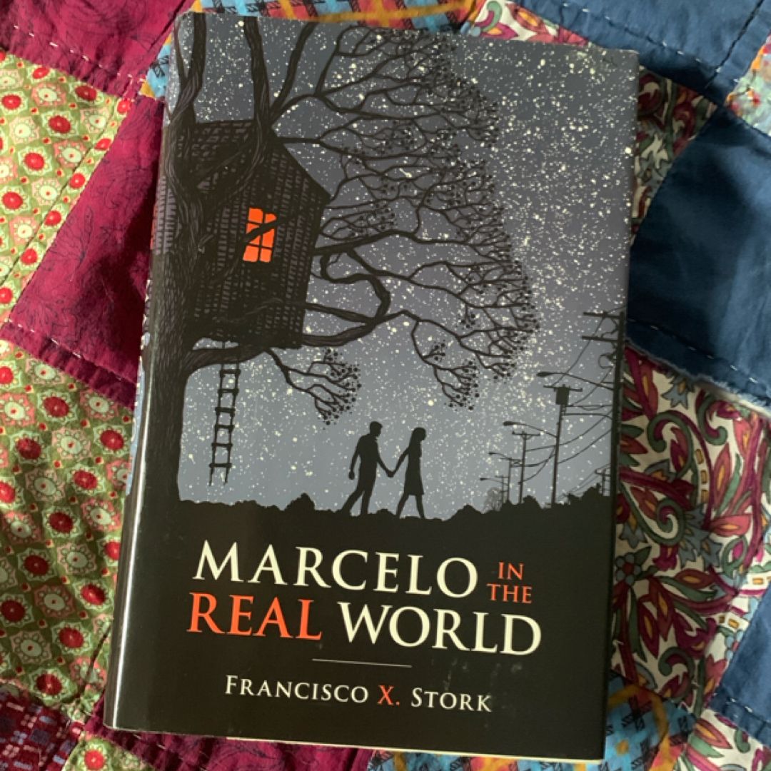 Marcelo in the Real World