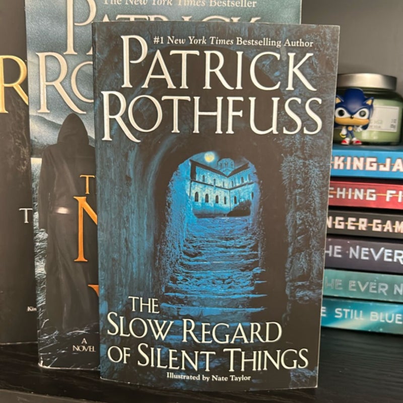 The Slow Regard of Silent Things