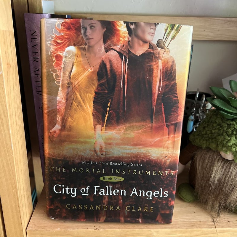 City of Fallen Angels