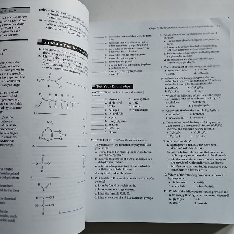 Study Guide for Campbell Biology