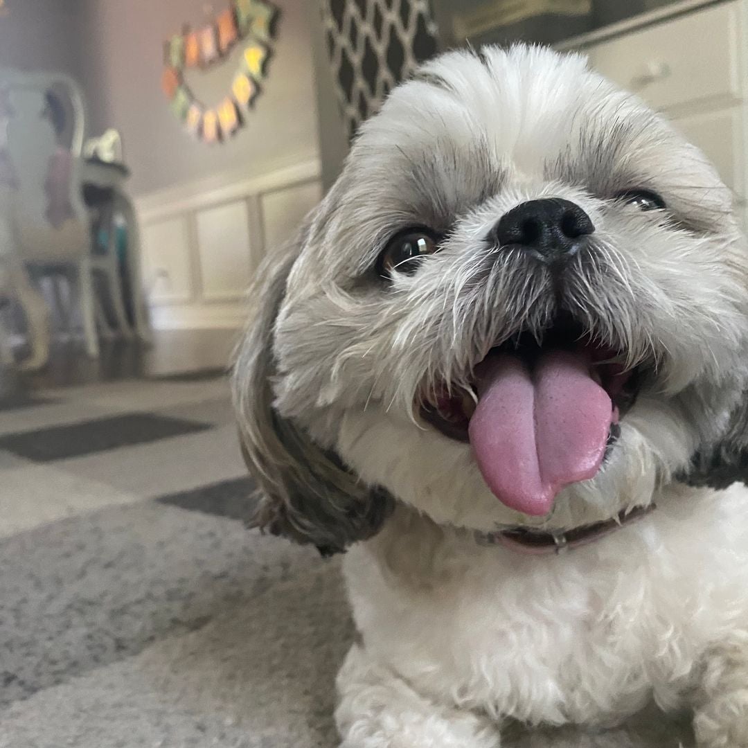 Mia O