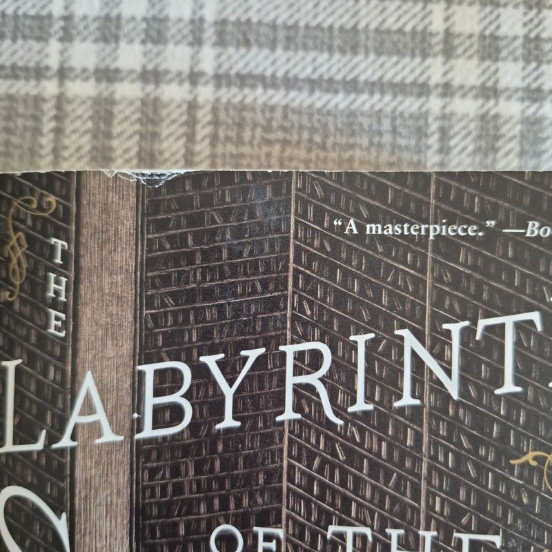 The Labyrinth of the Spirits