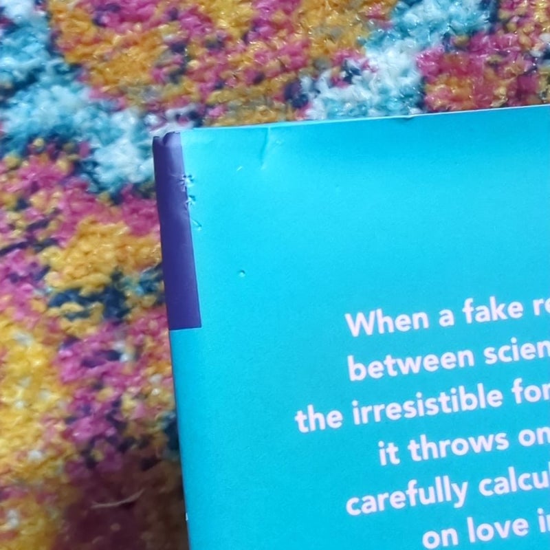 The Love Hypothesis 