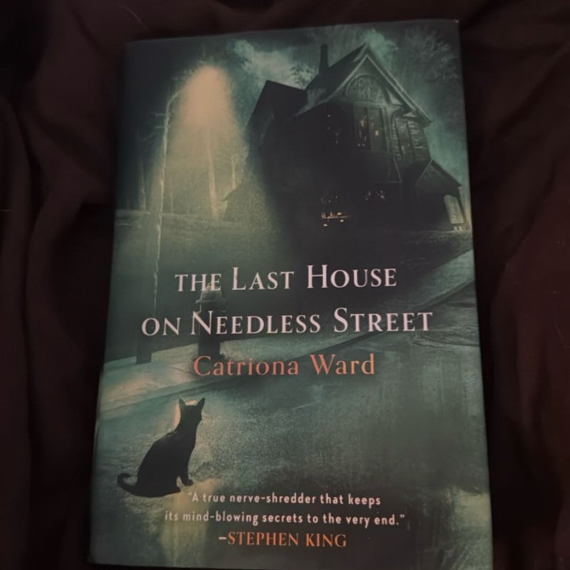 The Last House on Needless Street