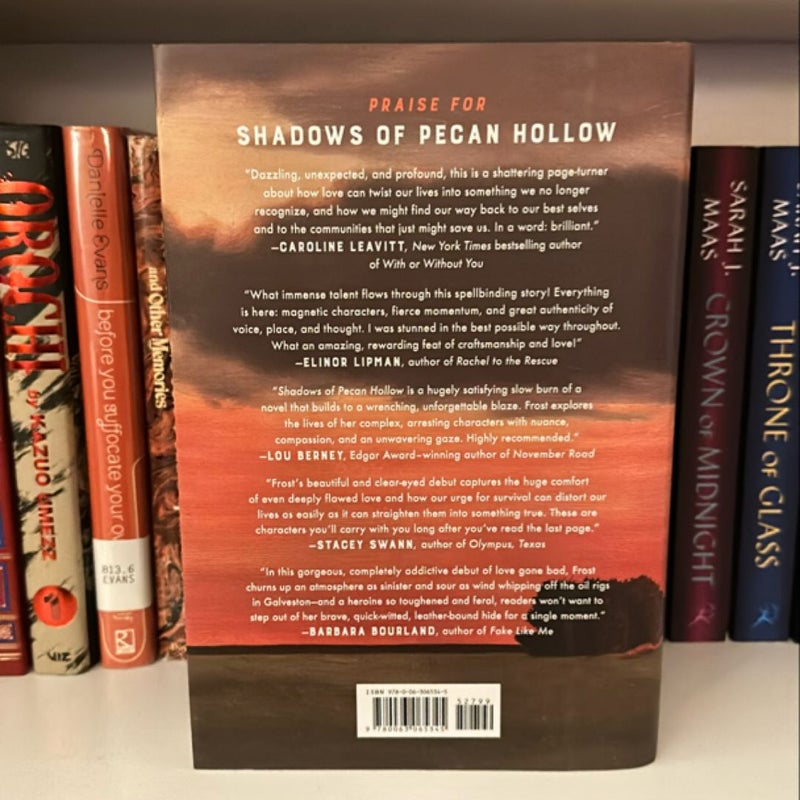 Shadows of Pecan Hollow