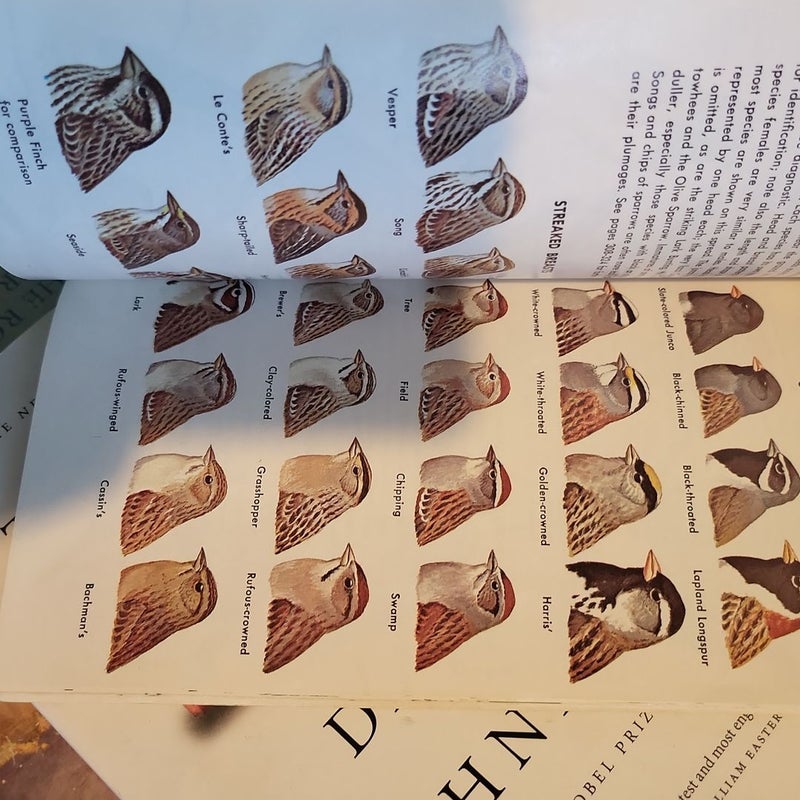 A GUIDE TO FIELD IDENTIFICATION: Birds of North America