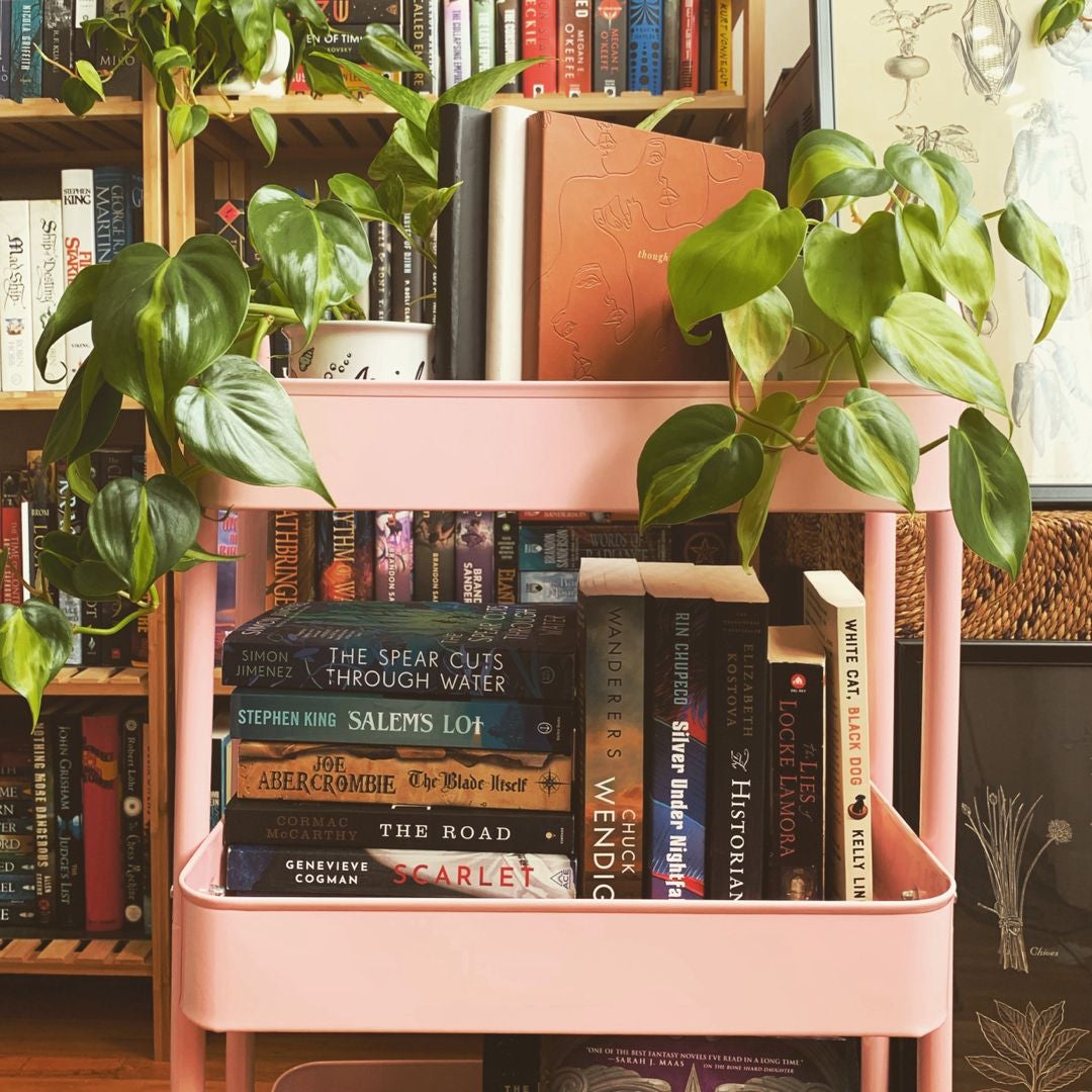 Vanna’s Shelf
