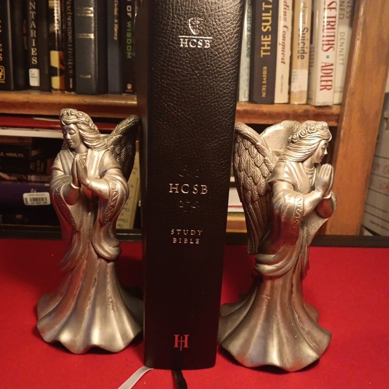 HCSB Study Bible, Black Bonded Leather 2010