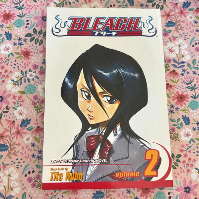 Bleach, Vol. 1-3 