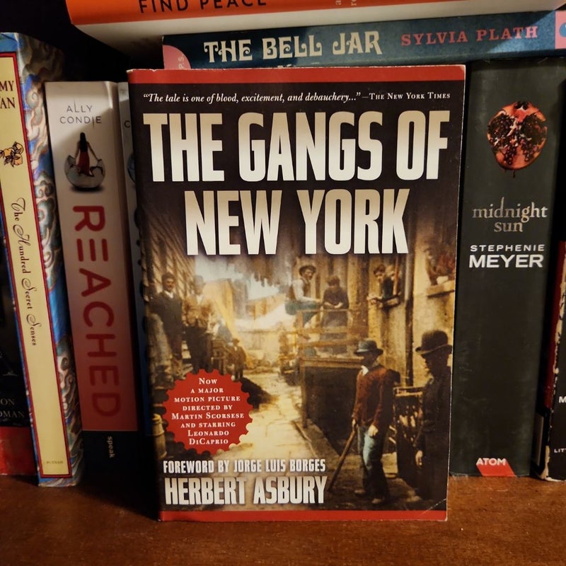 The Gangs of New York