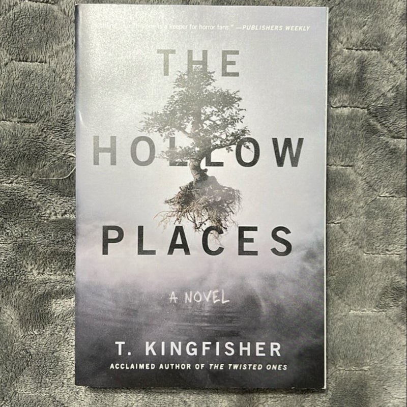 The Hollow Places