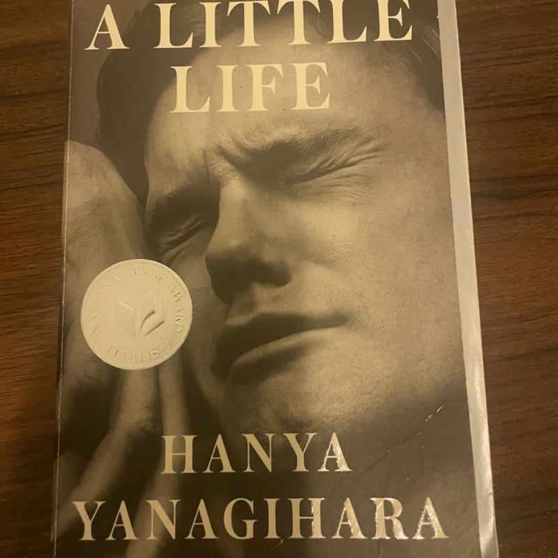 A Little Life