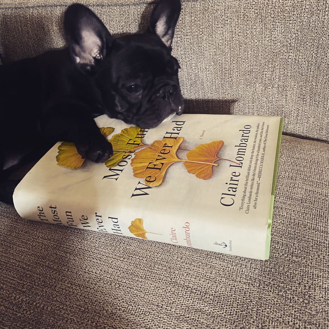 WhatChristyReads