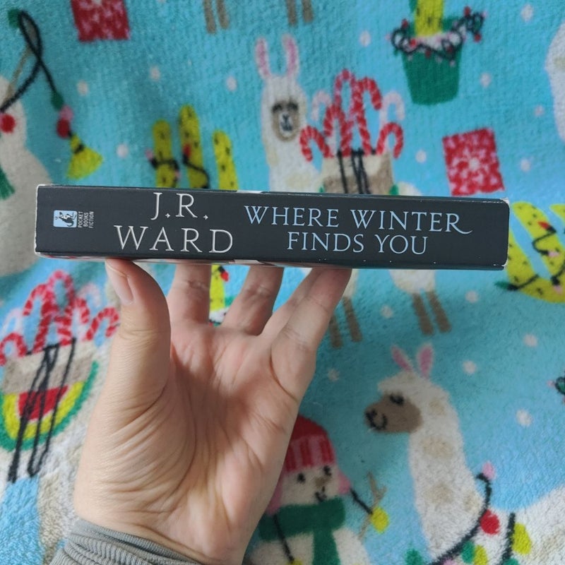 Where Winter Finds You