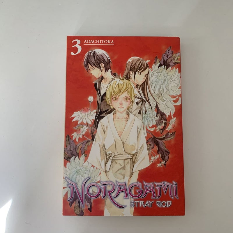 Noragami: Stray God Manga