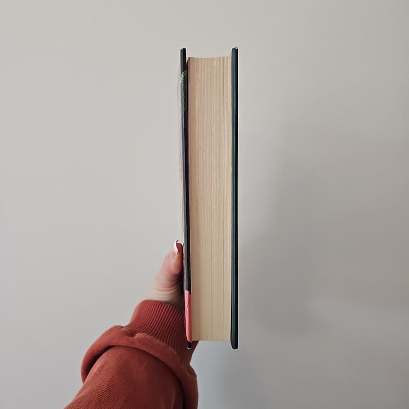 Clap when You Land by Elizabeth Acevedo