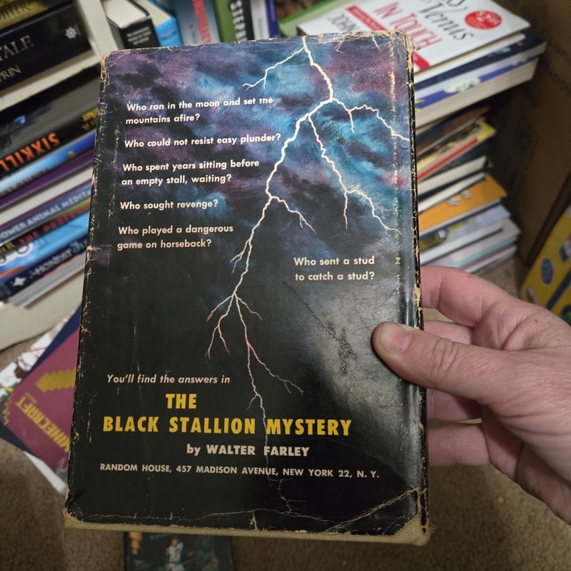 The Black Stalion Mystery