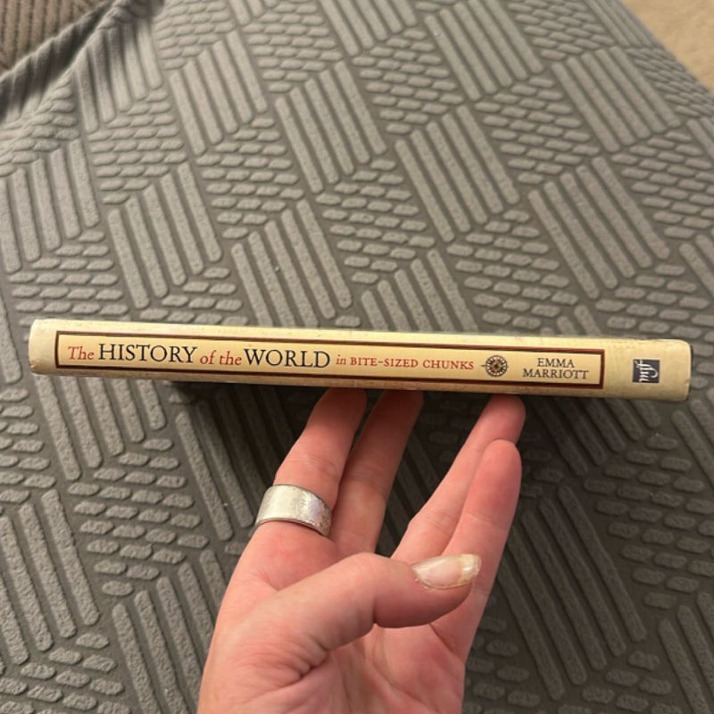 The History of the World in Bite-Sized Chunks