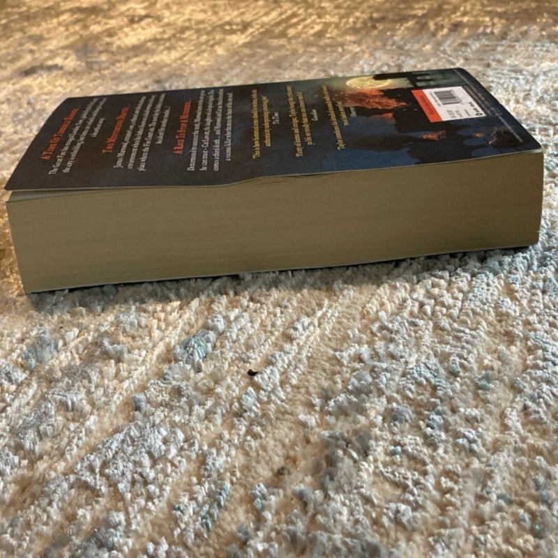 The Fire Court (James Marwood and Cat Lovett, Book 2)