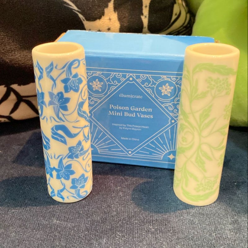 Illumicrate box swag 2024-2025 