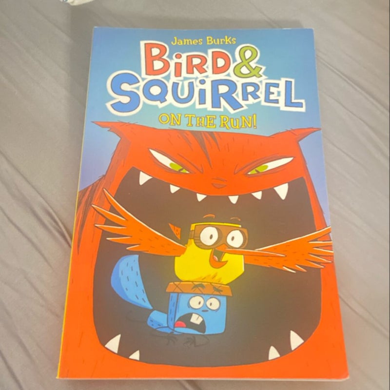 Bird and Squirrel On the Run!