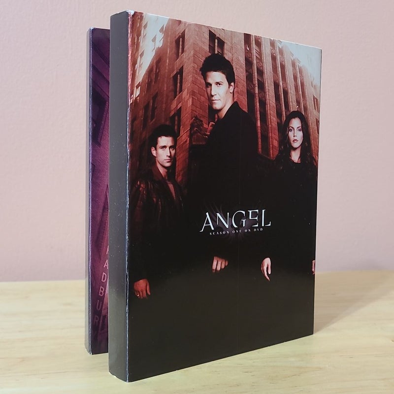Angel (Season 1, DVD set) 