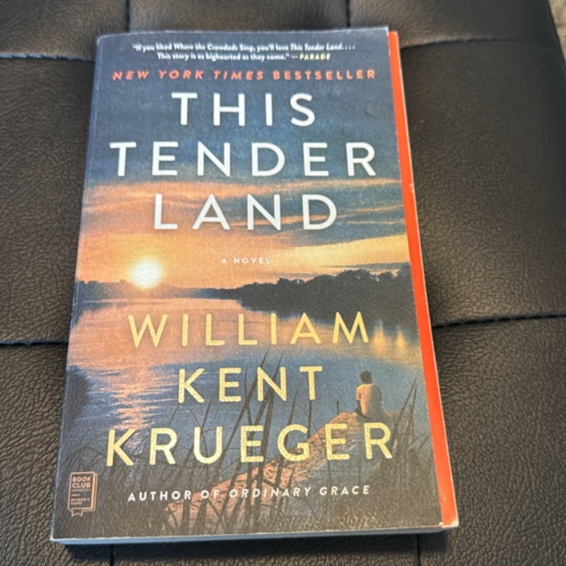 This Tender Land