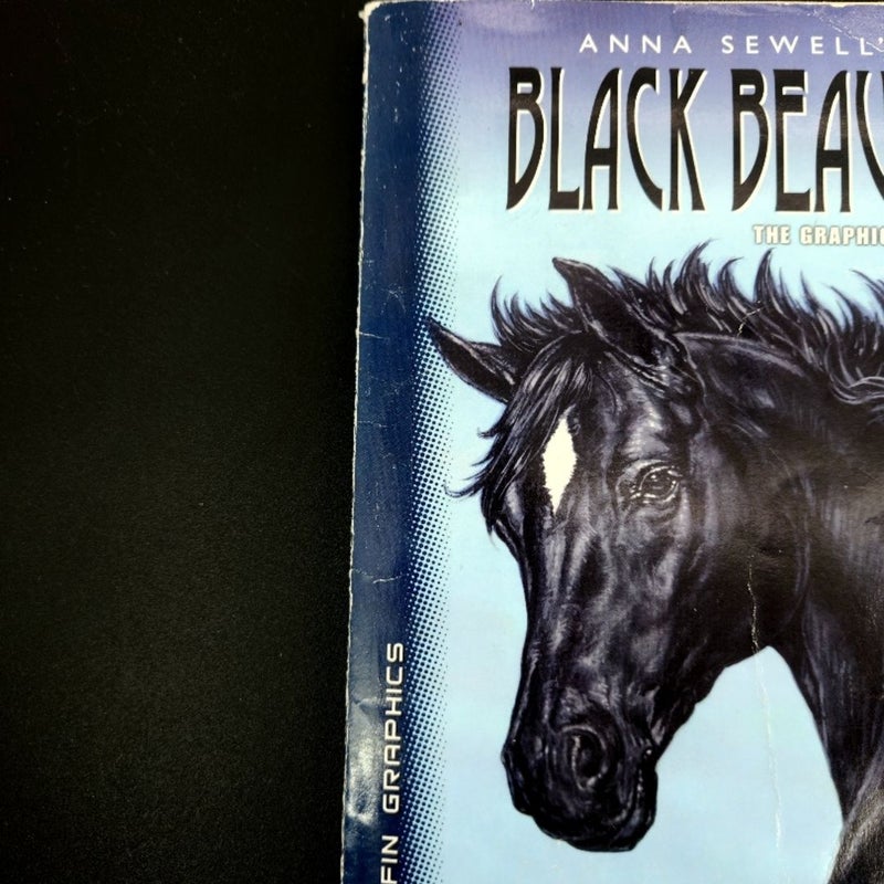 Puffin Graphics: Black Beauty