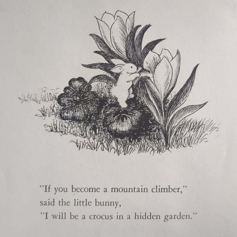 The Runaway Bunny Board Book