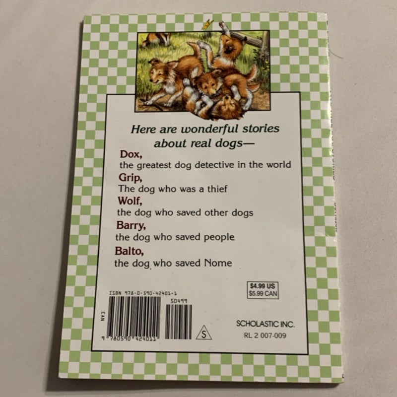 Five True Dog Stories