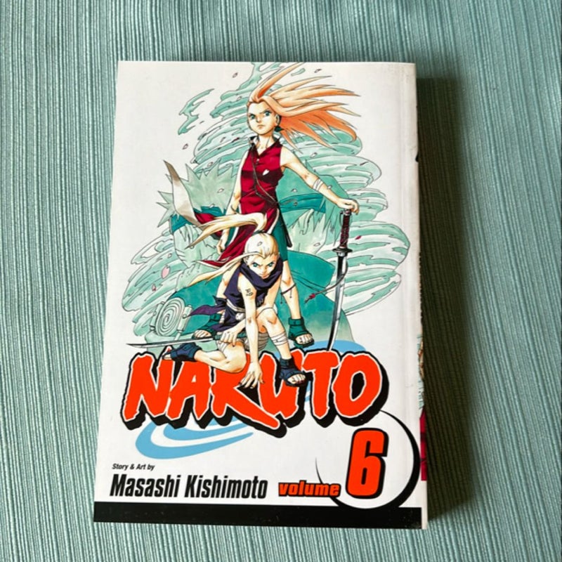 Naruto, Vol. 6