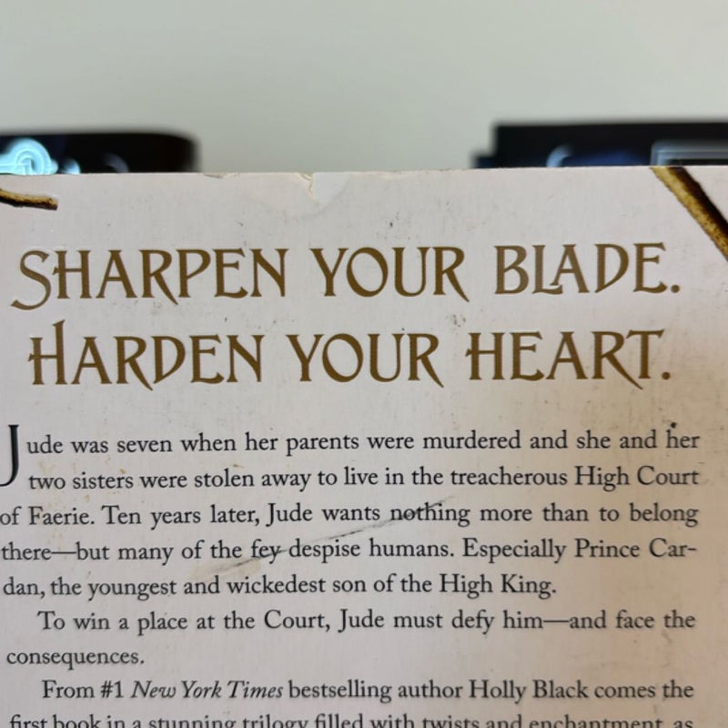 The Cruel Prince