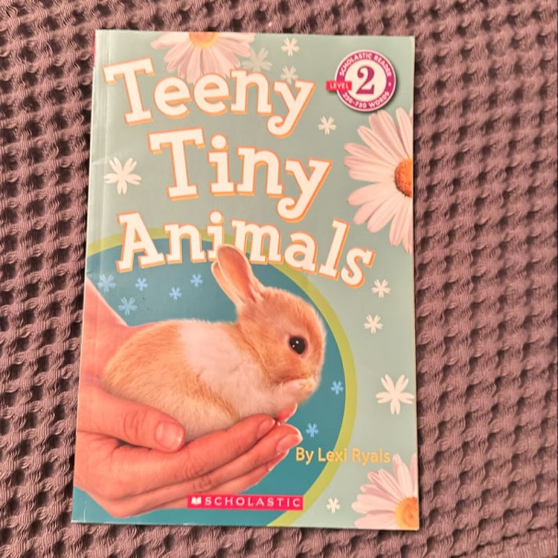 Teeny Tiny Animals