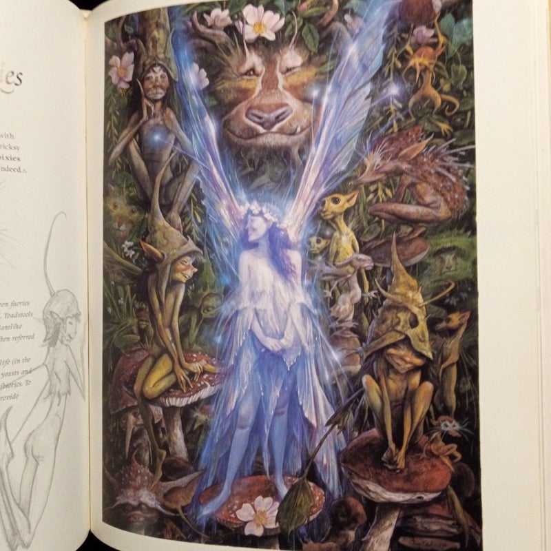 Good Faeries Bad Faeries